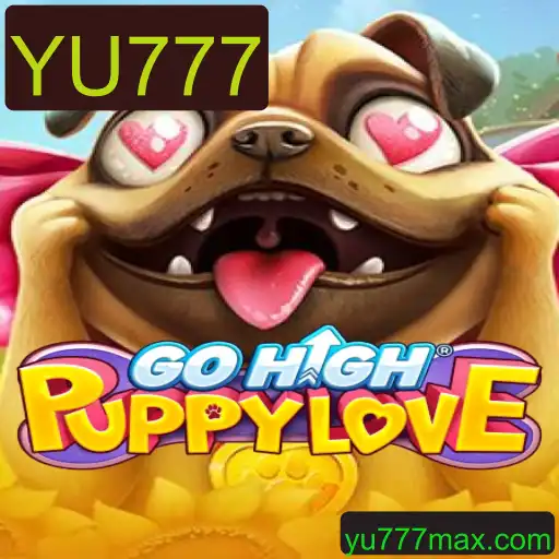 GoHighPuppyLove: Descubra as Regras e Aventuras do Novo Jogo